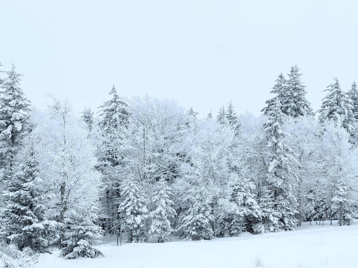 Snowshoe Ski-In & Ski-Out At Silvercreek Resort - Family Friendly, Jacuzzi, Hot Tub, Mountain Views المظهر الخارجي الصورة